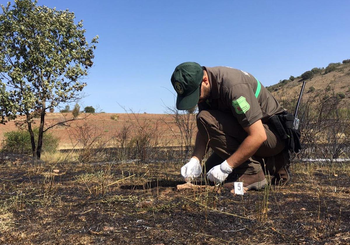 Un agente medioambiental investiga un incendio en Castilla y León.
