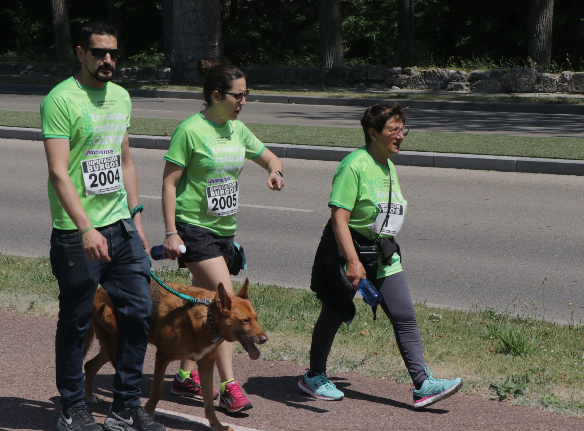 La marcha contra el cáncer de Burgos, en imágenes