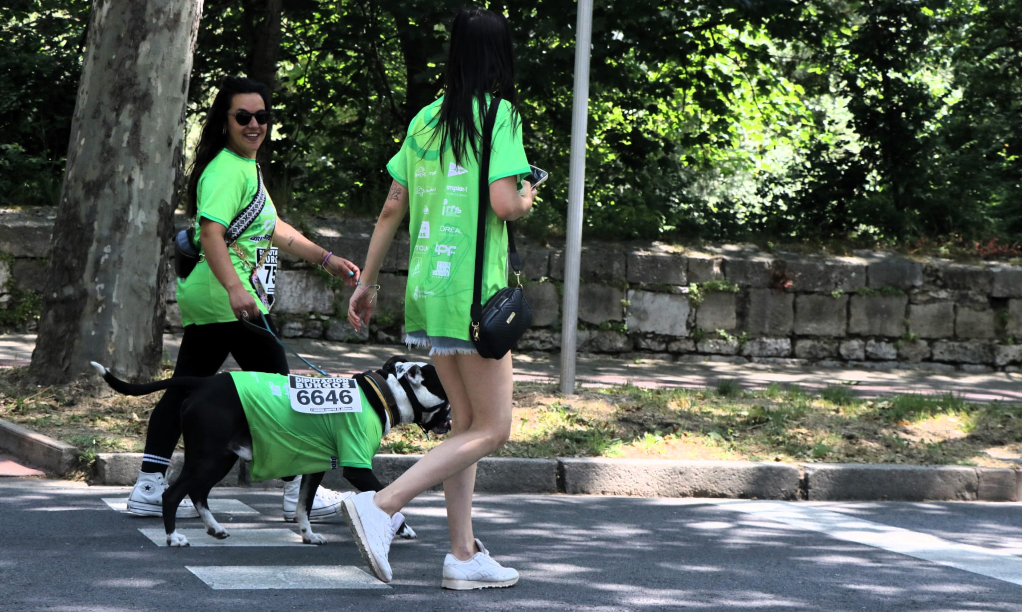 La marcha contra el cáncer de Burgos, en imágenes