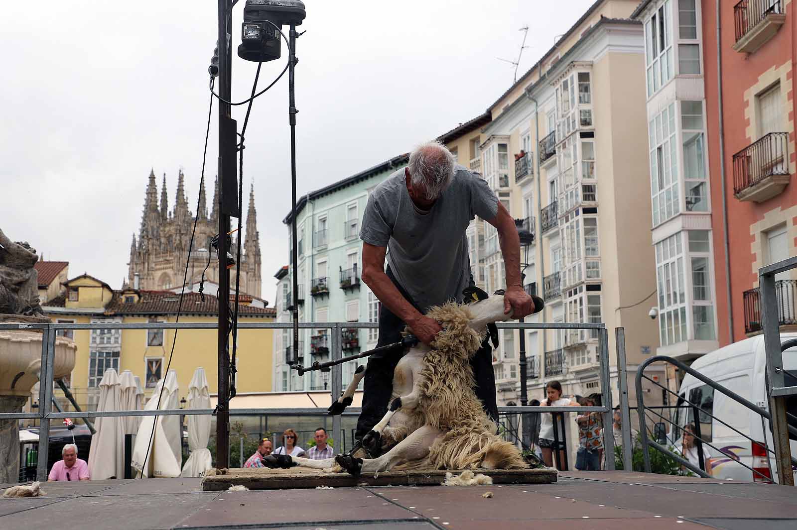 La fiesta del esquileo en Burgos, en imágenes