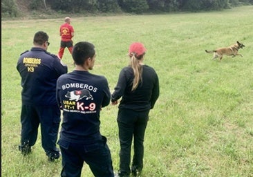 Burgos, epicentro del rescate internacional gracias a un proyecto del GREM