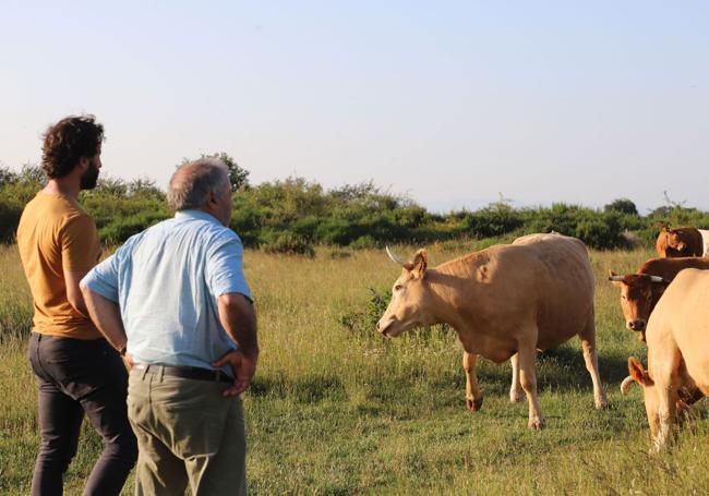 Juan y Lorenzo observan las vacas del primero en Rábanos.