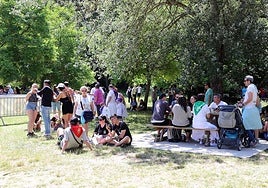 Imagen del Día de las Peñas en 2024