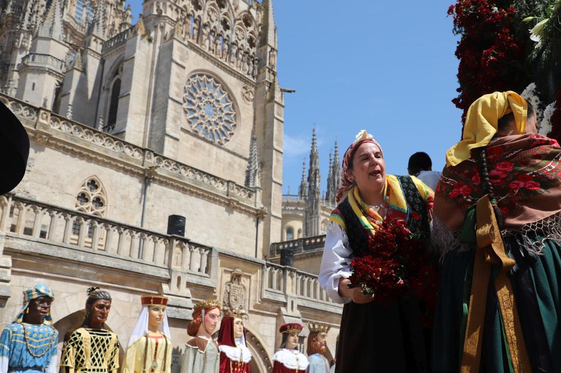 Flores, tradición y emoción: las imágenes de la Ofrenda Floral de los Sampedros 2025