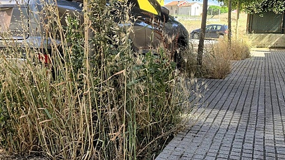 Aceras con hierbas y baldosas sueltas: Villatoro denuncia el abandono del Ayuntamiento de Burgos