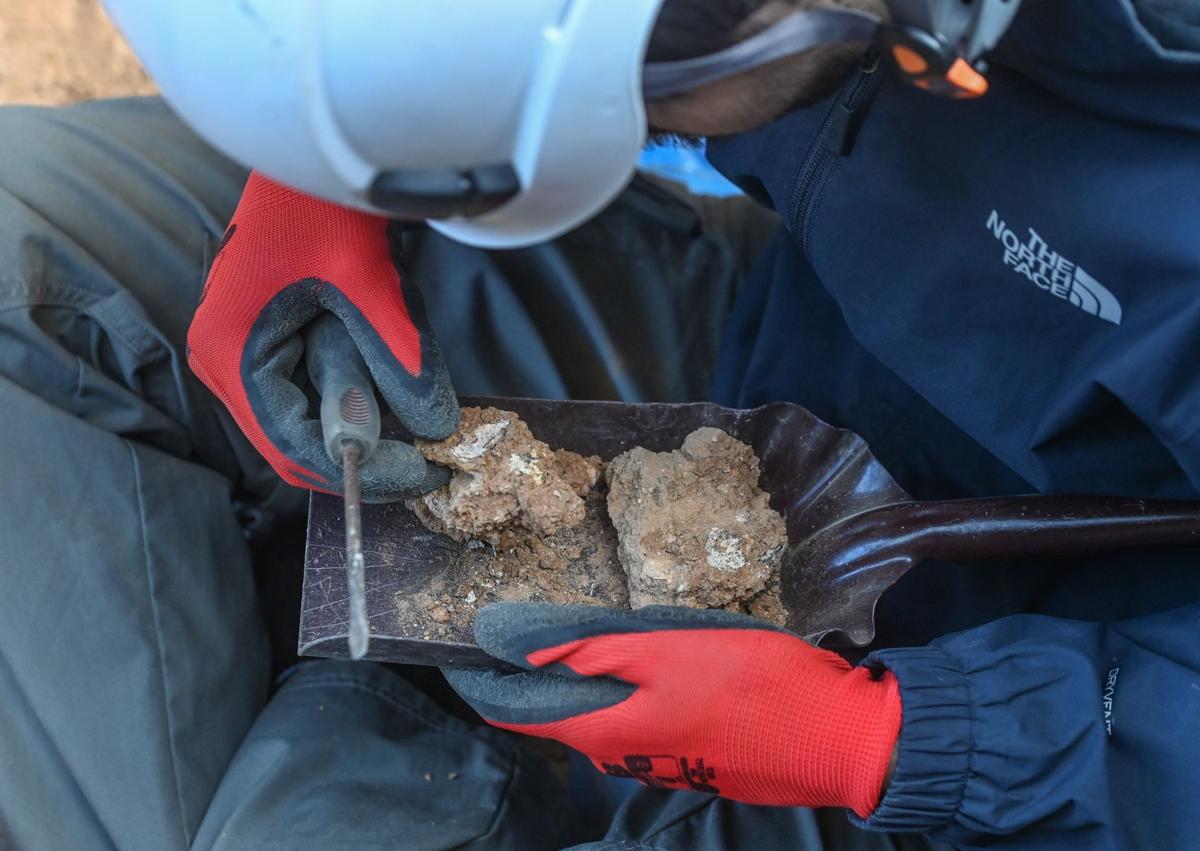 Imagen secundaria 1 - Atapuerca arranca fuerte: fósiles humanos, herramientas y fauna confirman un pasado lleno de vida