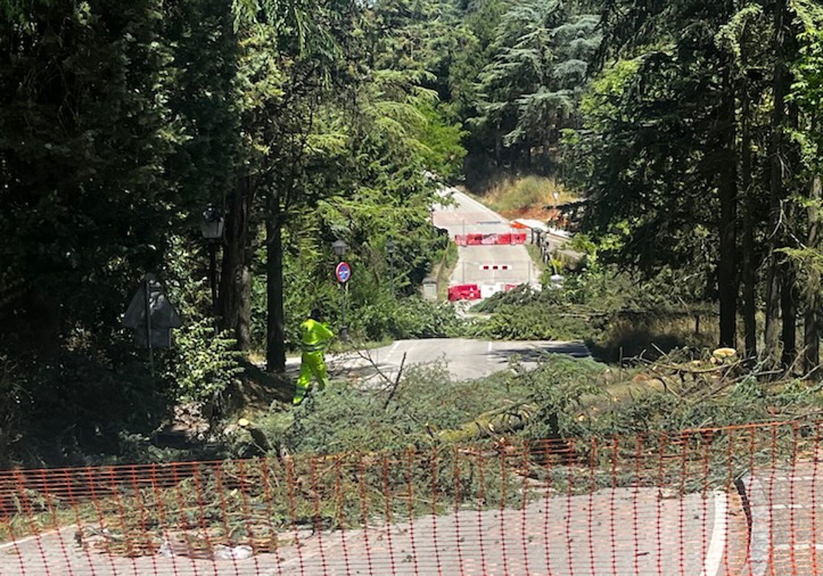 Las obras al medio día de este martes en el puente verde.