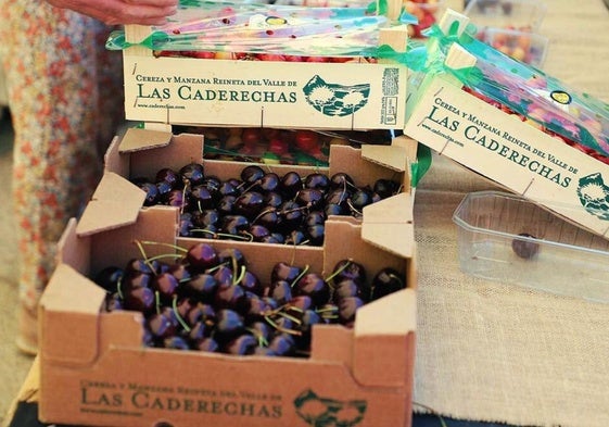 La cereza de Las Caderechas es el ingrediente común a todos los paltos que elaborarán los establecimientos de hostelería participantes.