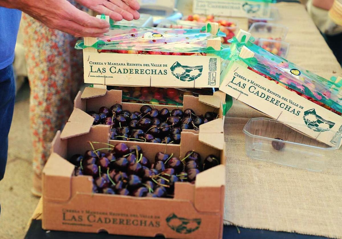 La cereza de Las Caderechas es el ingrediente común a todos los paltos que elaborarán los establecimientos de hostelería participantes.