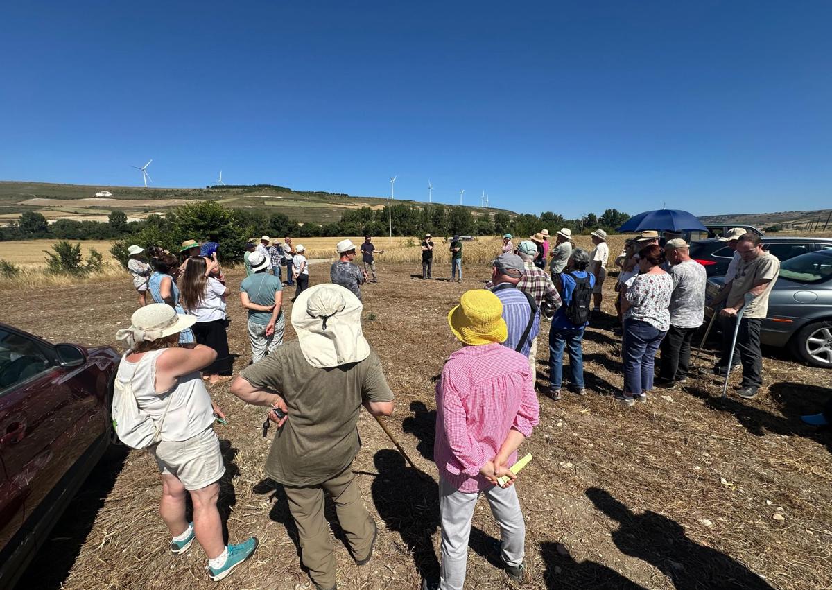Imagen secundaria 1 - Alrededor de un centenar de personas disfruta con la Arqueología en el Geoparque Las Loras
