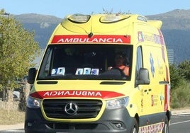 Guardia Civil de Burgos y una ambulancia de Sacyl se han desplazado hasta el lugar.