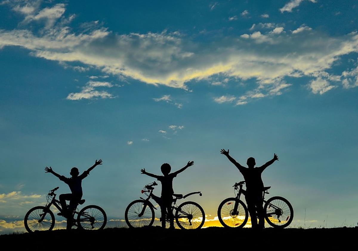 Imagen de una de las rutas en bici de Rural Forks.