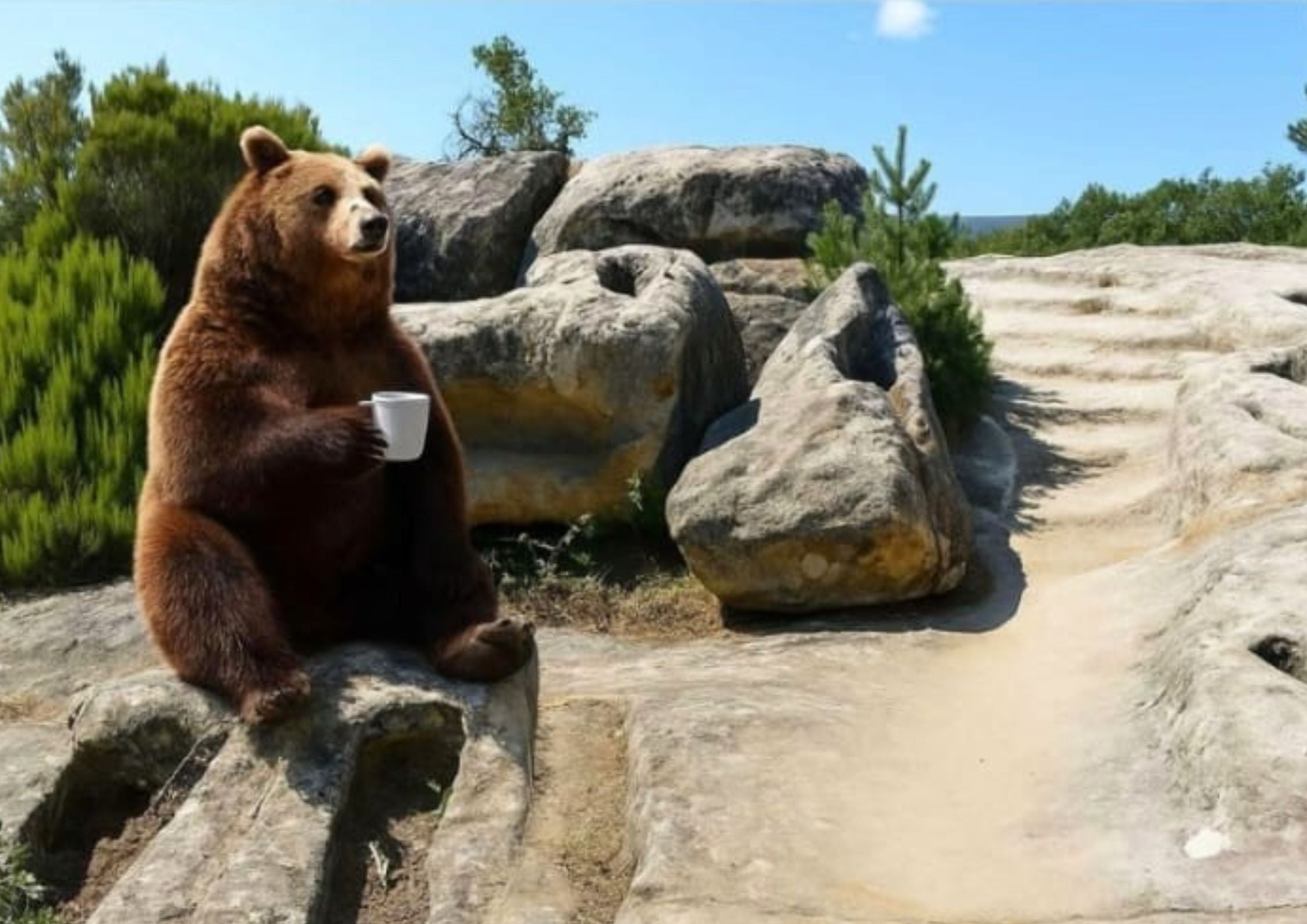 Las imágenes con tono de humor con el oso en algunos espacios del pueblo han circulado entre los vecinos de la zona.