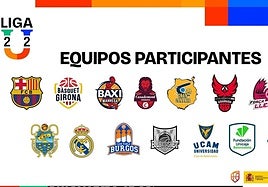 Equipos participantes en la Liga U.