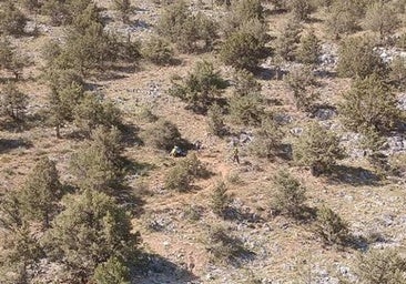 Rescatan a un ciclista herido en un paraje de Burgos
