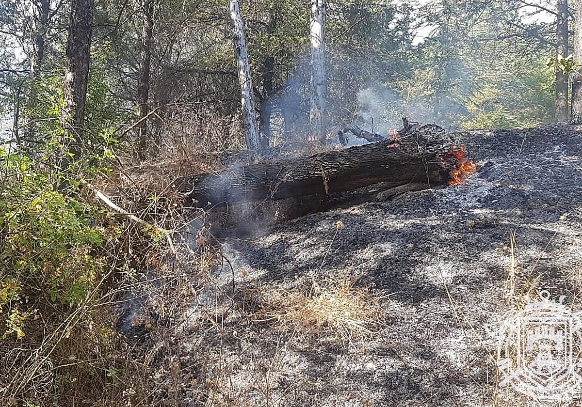 Fuego en el cerro del Castillo este 4 de agosto.