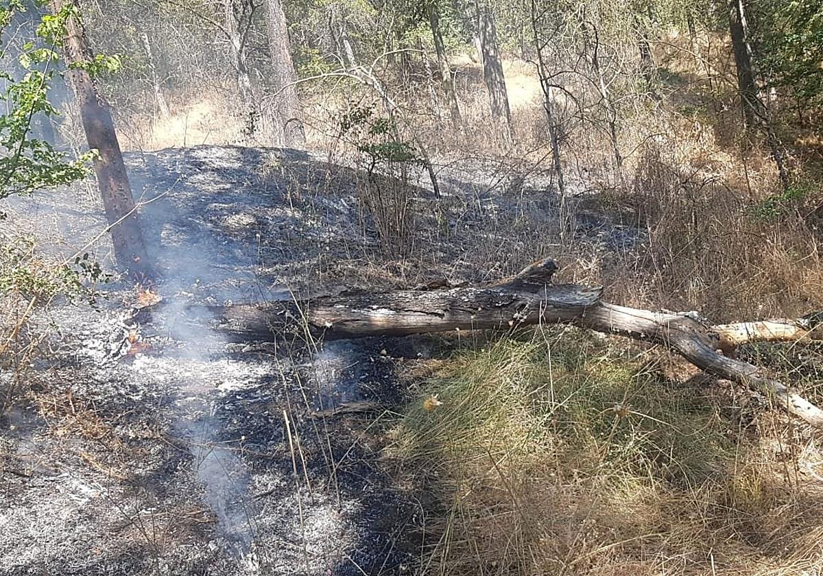 Detalle del último incendio, del día 4 de agosto, en el cerro del Castillo.