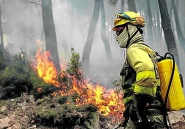 La Junta pide colaboración para evitar negligencias y delitos que desencadenan fuegos