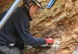 Excavaciones durante la campaña de Atapuerca del verano de 2025.