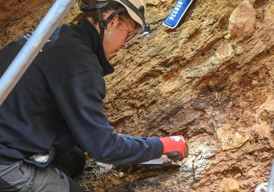 Excavaciones durante la campaña de Atapuerca del verano de 2025.