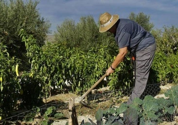 La mitad de las ayudas para contratar mujeres en sectores masculinizados en Burgos son para empresas rurales