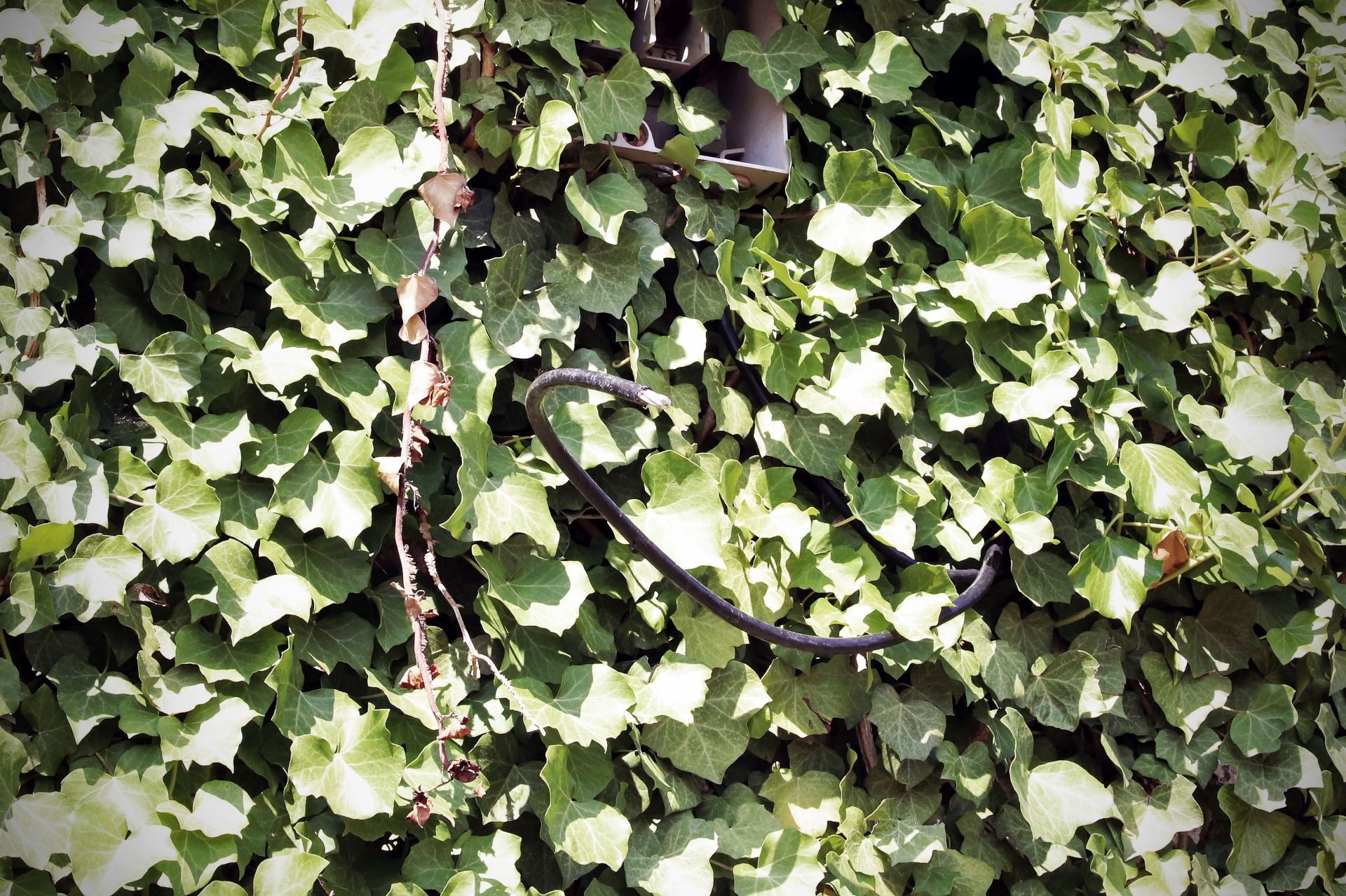 Paseo en imágenes por un pueblo abandonado con tumbas saqueadas de Burgos