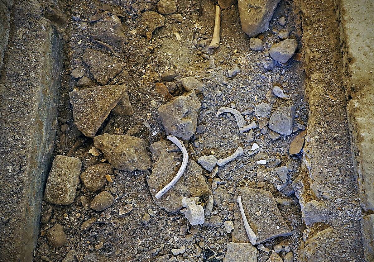 Imagen principal - Restos óseos en la iglesia. 