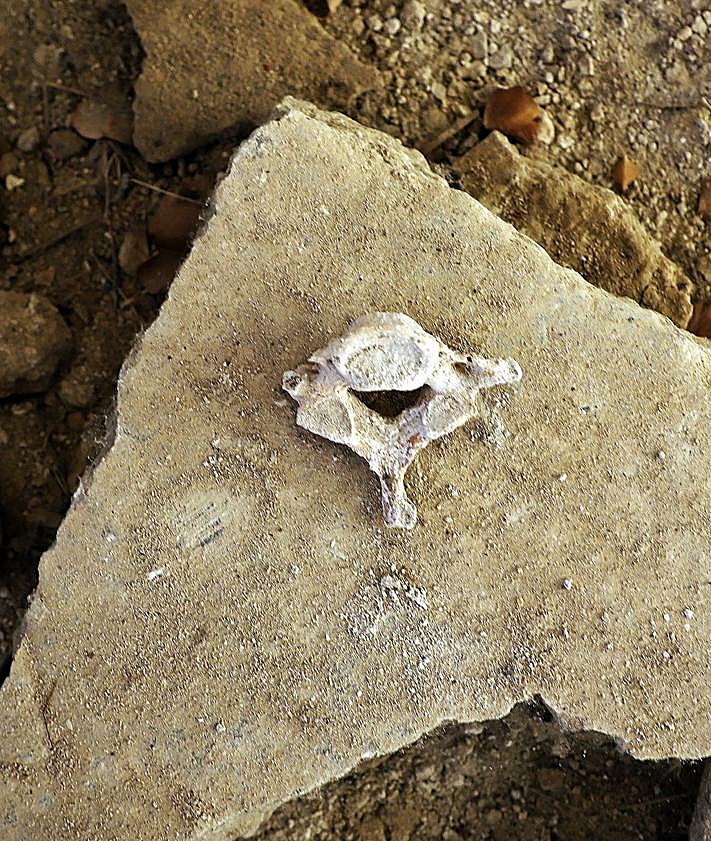 Imagen secundaria 2 - Restos óseos en la iglesia. 