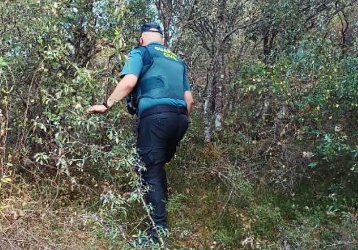 Imagen de la Guardia Civil rastreando el bosque.