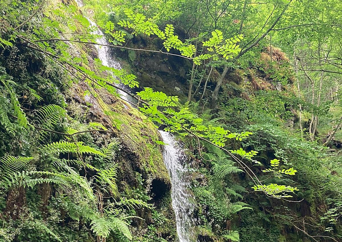 Imagen secundaria 1 - Imágenes de las cascadas e intinerario de la ruta.