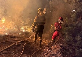 Miembros de las BRIF y de la UME, luchando contra el fuego en León.
