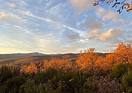 Vistas de un monte de la provincia de Burgos.