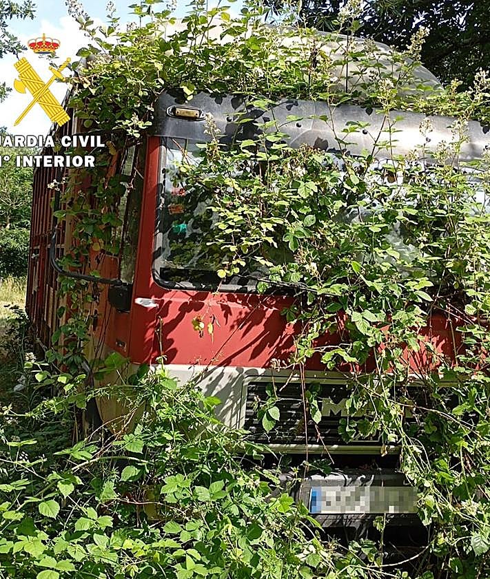 Imagen secundaria 2 - Lugar donde vivían los animales maltratados.