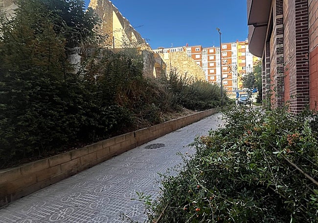 Actuaciones en el talud sur.