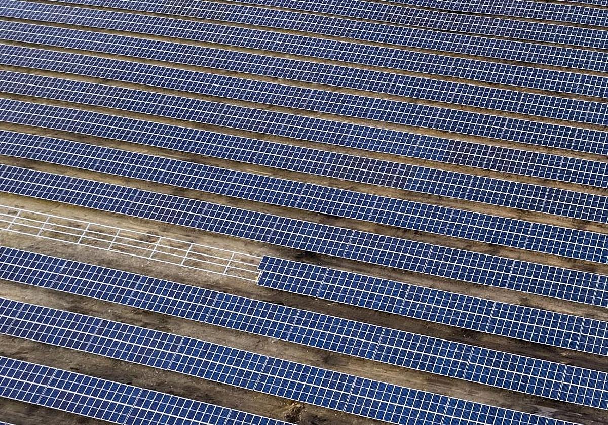 Planta solar fotovoltaica.