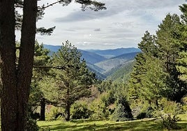 Imagen de un punto de un monte de Tierra de Pinares.