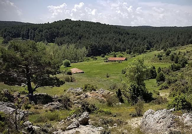 Antiguas tenadas en un monte de Tierra de Pinares.