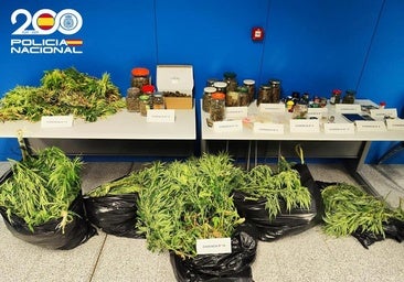 Detenido en Miranda tras ser sorprendido con 2,5 kilos de marihuana en su casa