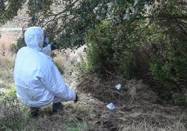 Más agresiones graves y menos delitos de drogas: análisis de la criminalidad en Burgos