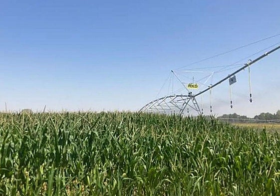 18 millones de euros para un nuevo regadío en Burgos que transformará 850 hectáreas