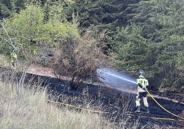 Identificadas varias personas por los incendios provocados en el Castillo de Burgos