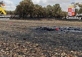 Zona incendiada en Marmellar de Arriba, en Burgos.
