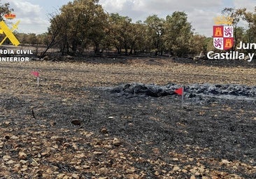 Dos hombres irán ante el juez por provocar un incendio que calcinó 53 hectáreas en Burgos