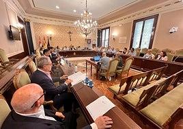 El Pleno se ha celebrado este jueves.