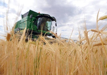 Burgos marca una cosecha de récord con un 6,6% más de producción