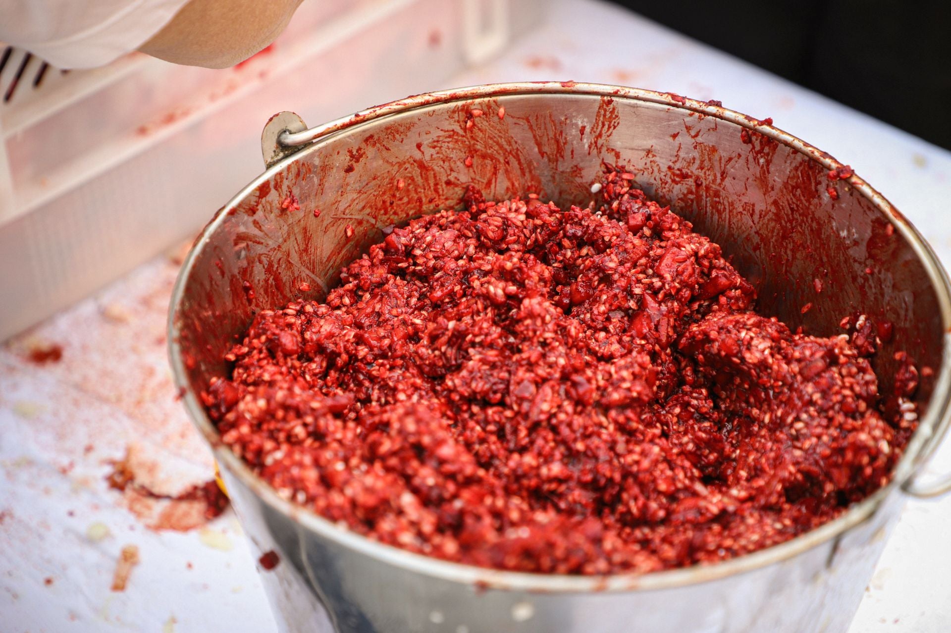 Todas las imágenes de la I Feria de la Morcilla de Burgos