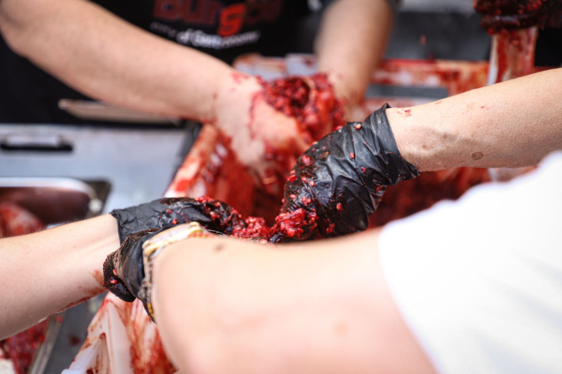 Todas las imágenes de la I Feria de la Morcilla de Burgos