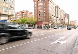 La alcaldesa de Burgos ha ofrecido al PSOE retomar su proyecto de la calle Vitoria.