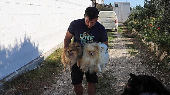 Denuncian el robo de 53 perros en un centro canino de Burgos: «Se han llevado a los más valiosos»