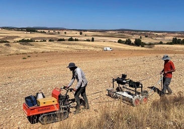 El paraje de Burgos donde buscan restos de una antigua ciudad celtíbera que precedió a Clunia